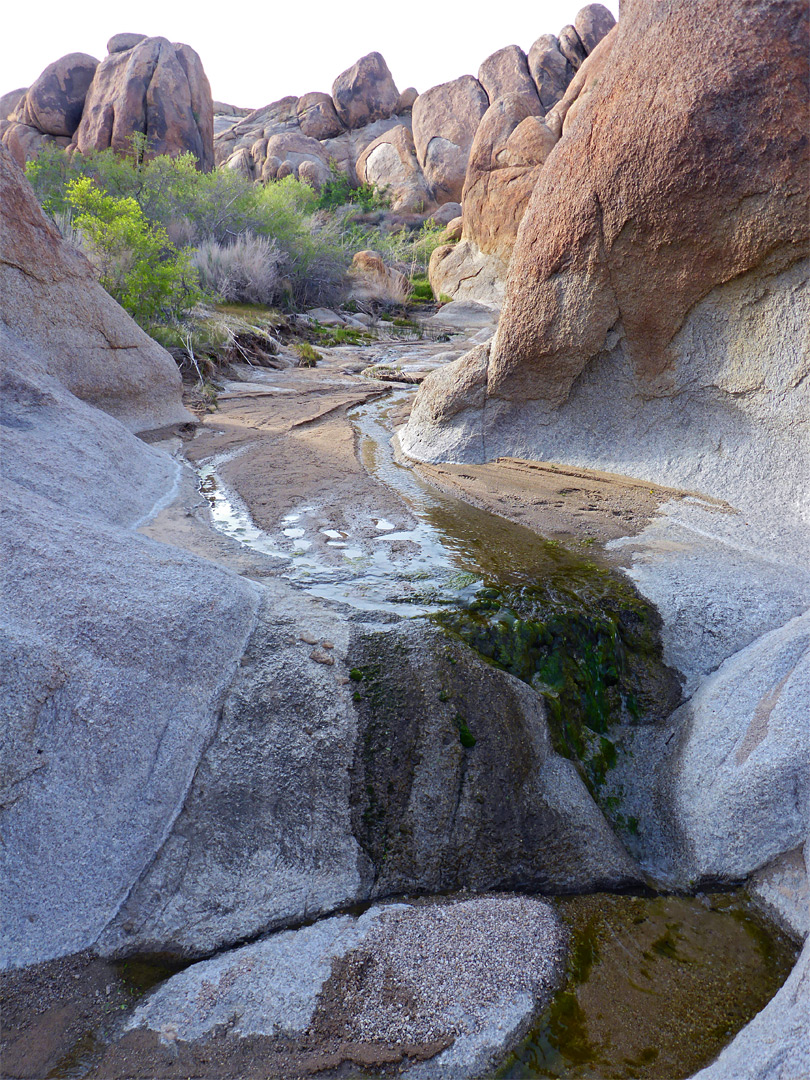 Tiny pool