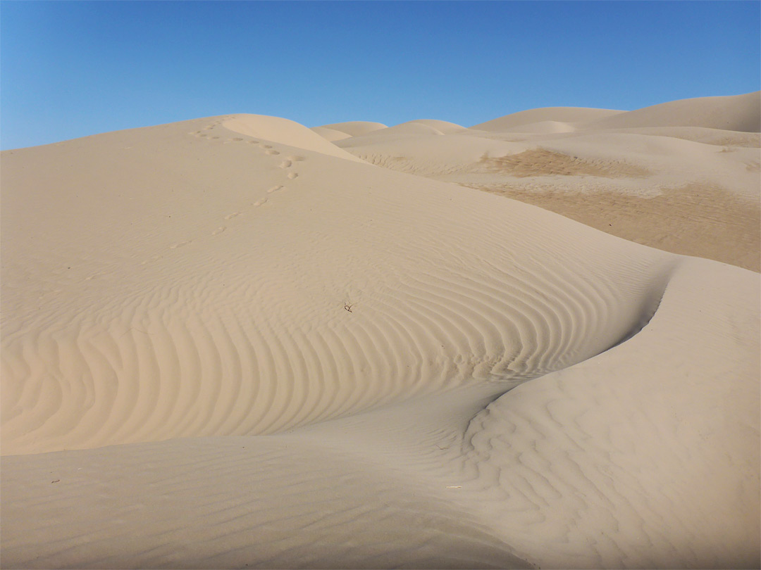 Middle of the dunes