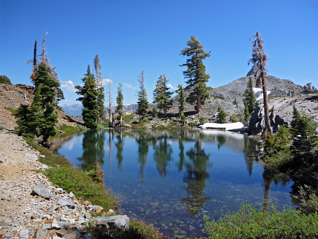 Reflective pond