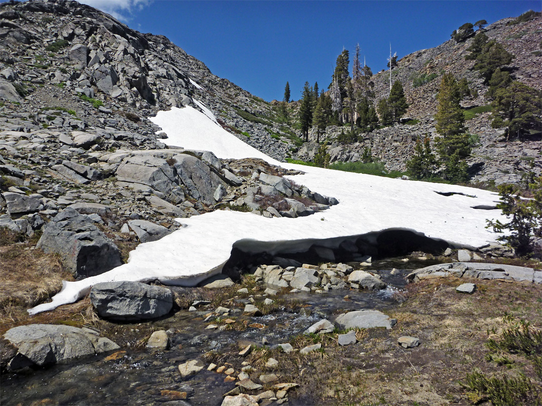 Melting snow