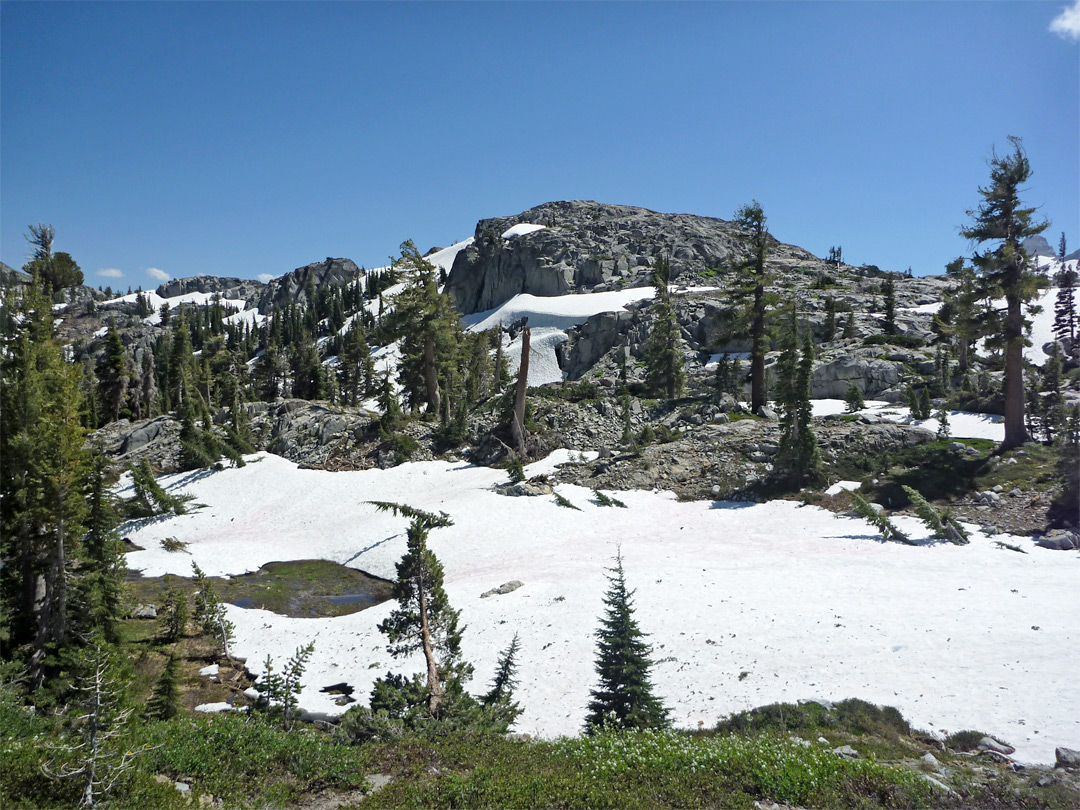 Snow field