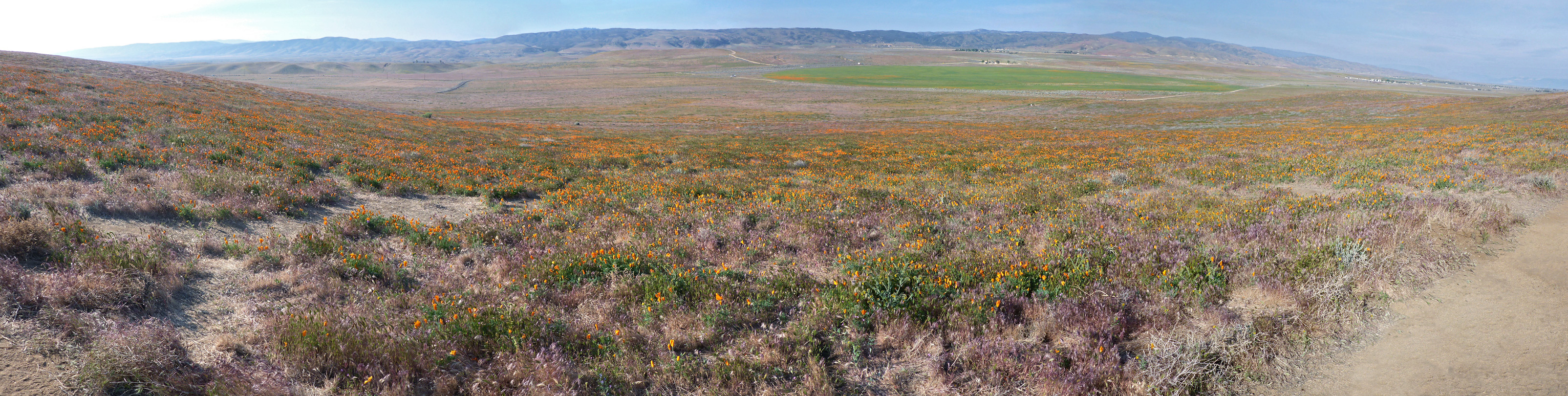 Panorama to the south