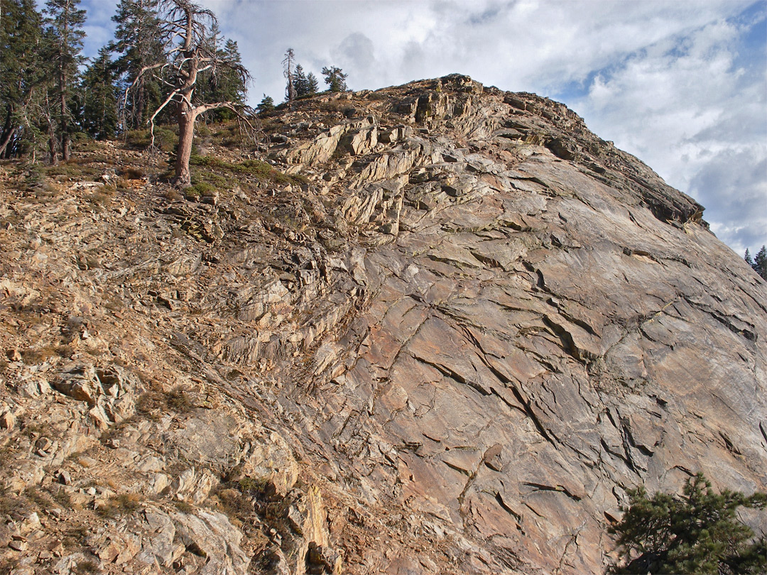 Evening sun on Big Baldy summit