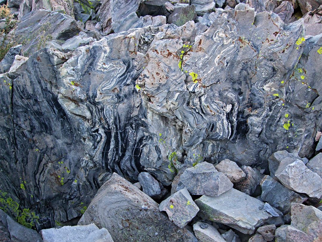 Obsidian with green lichen