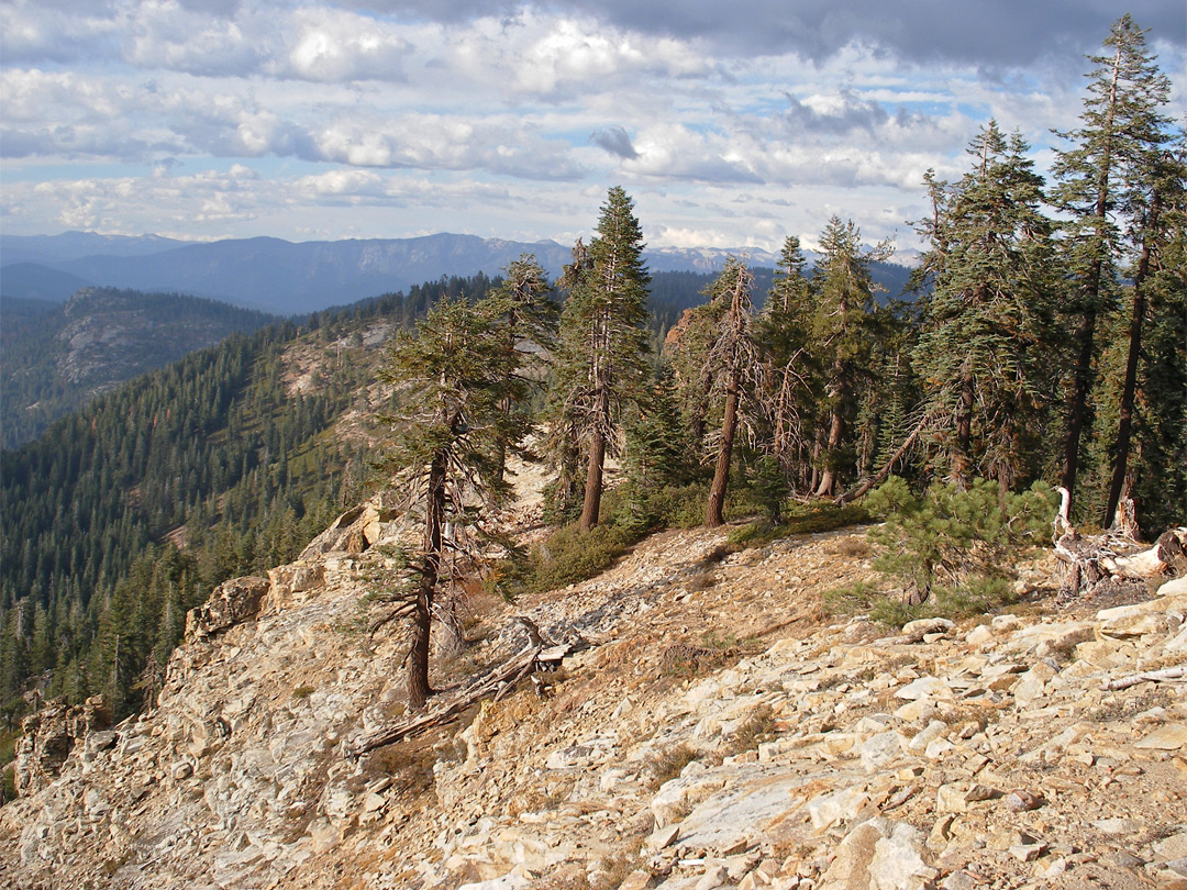 Big Baldy Ridge