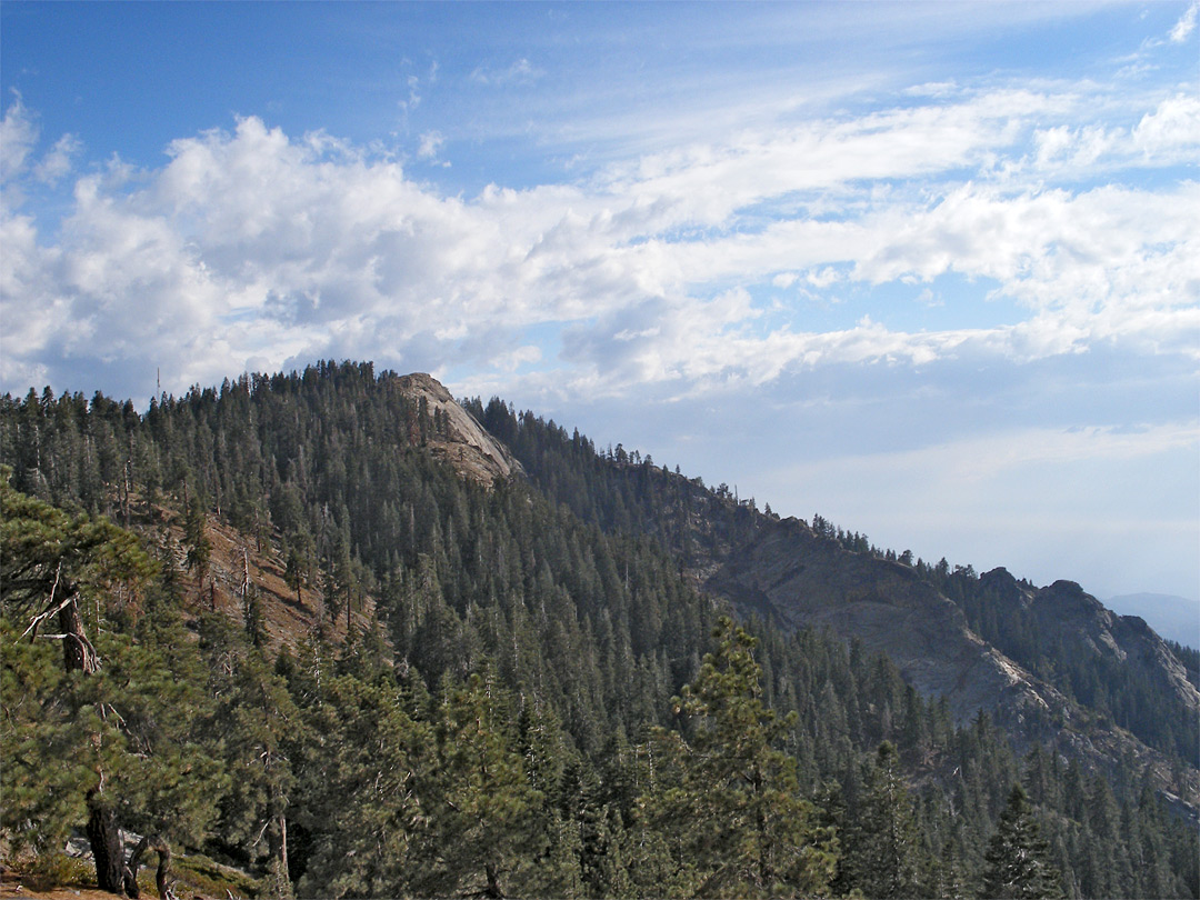 Distant view of Big Baldy