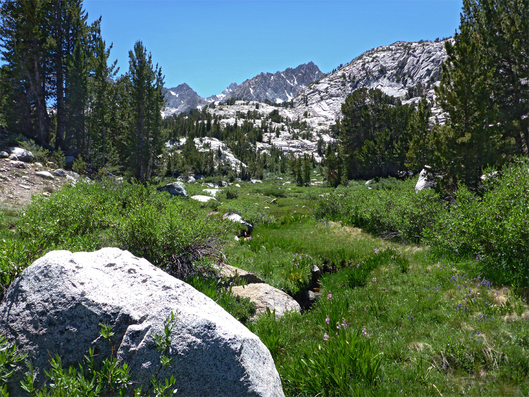 Boulders in a meadow