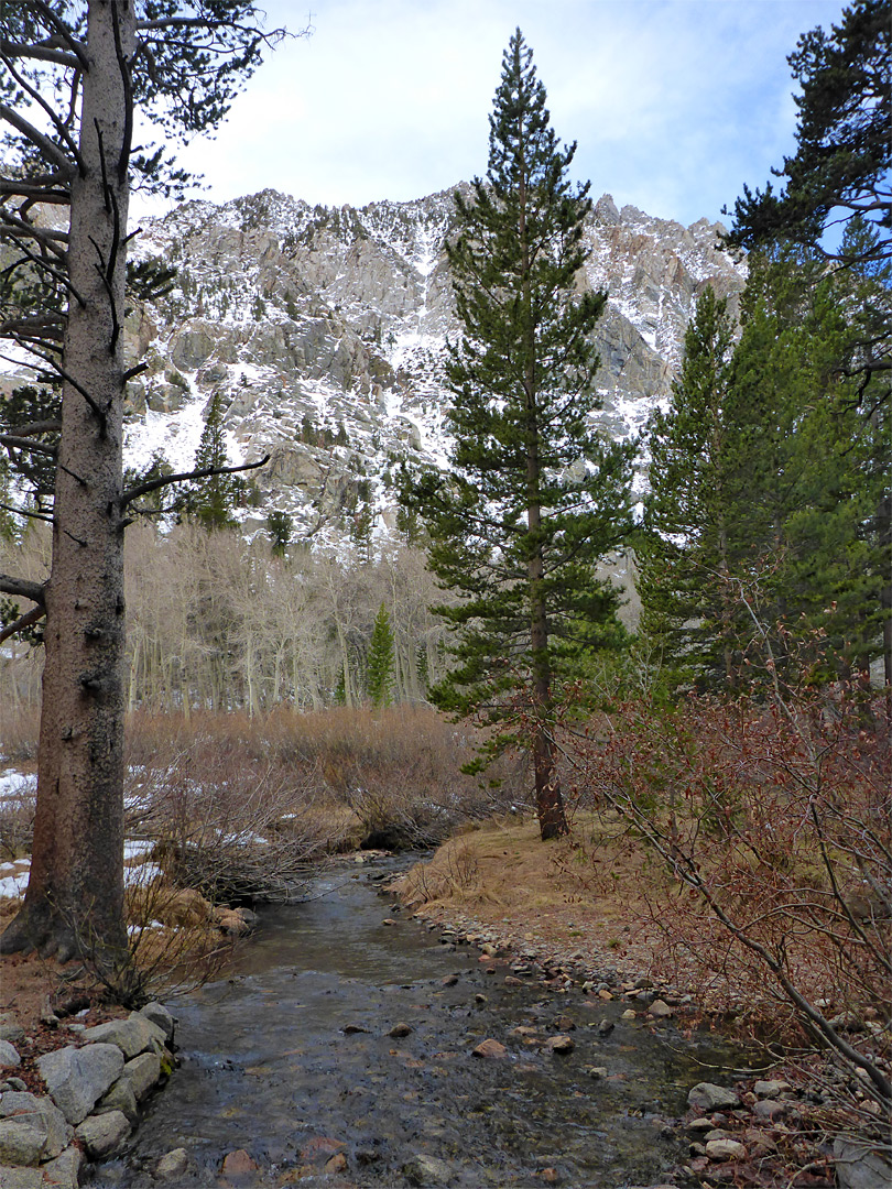 Bishop Creek