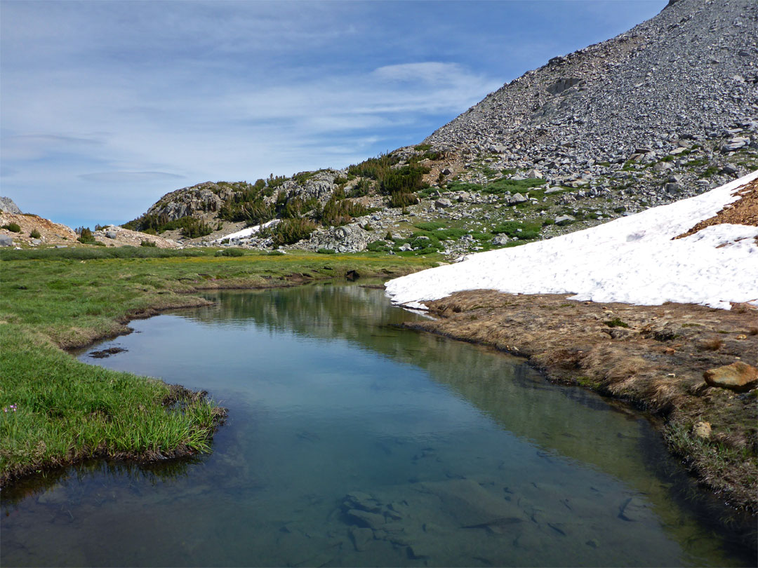 Snow beside a pond