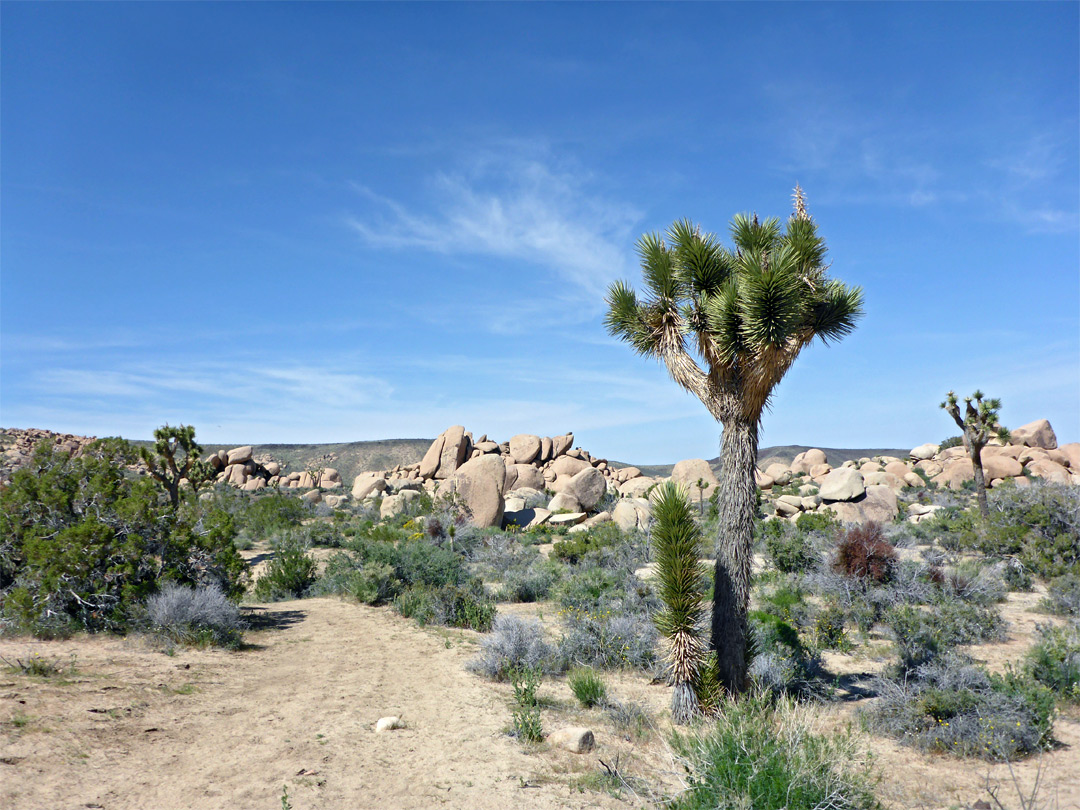 Granite boulders