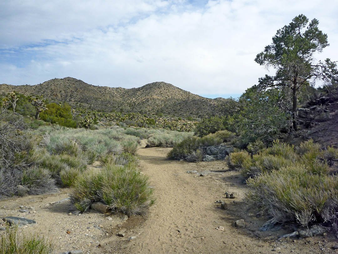 Black Rock Canyon