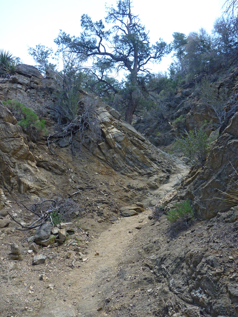 Bend in a narrow ravine