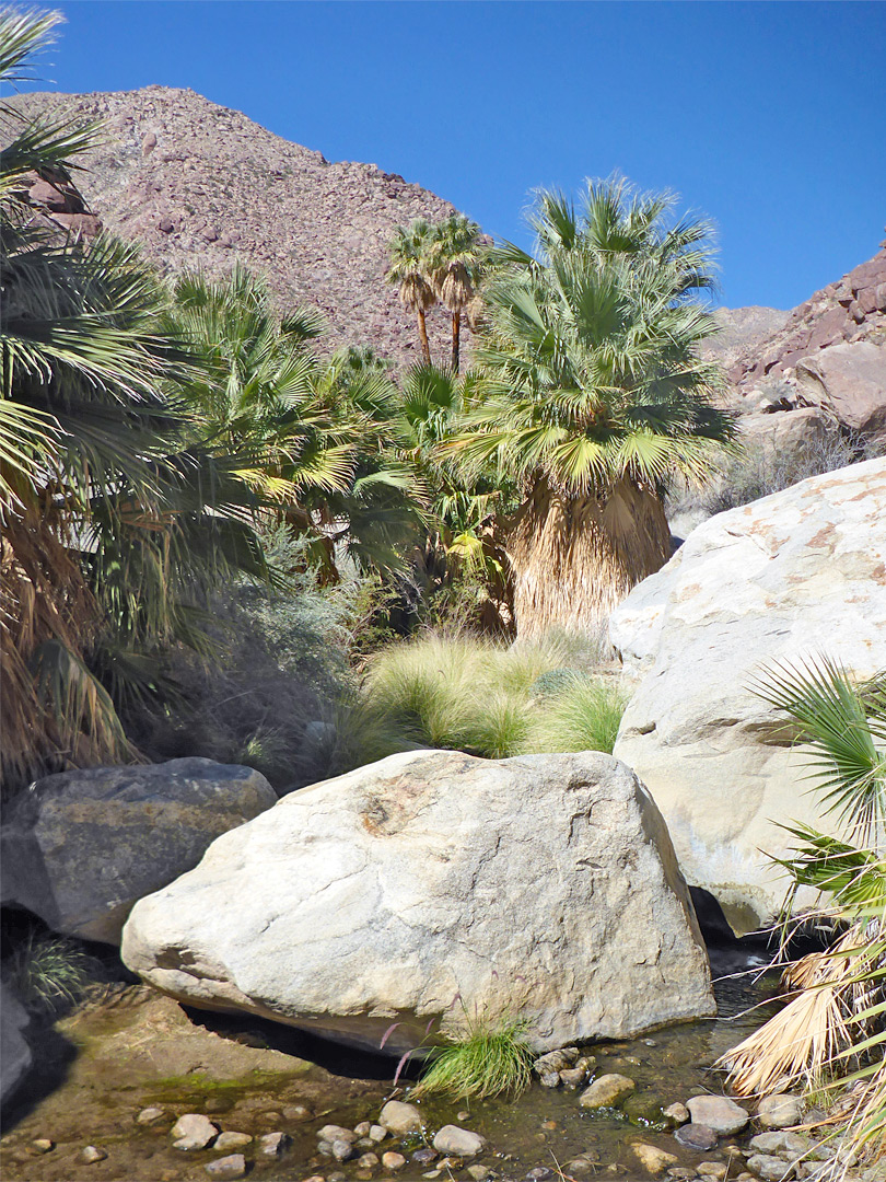 Boulders in the stream