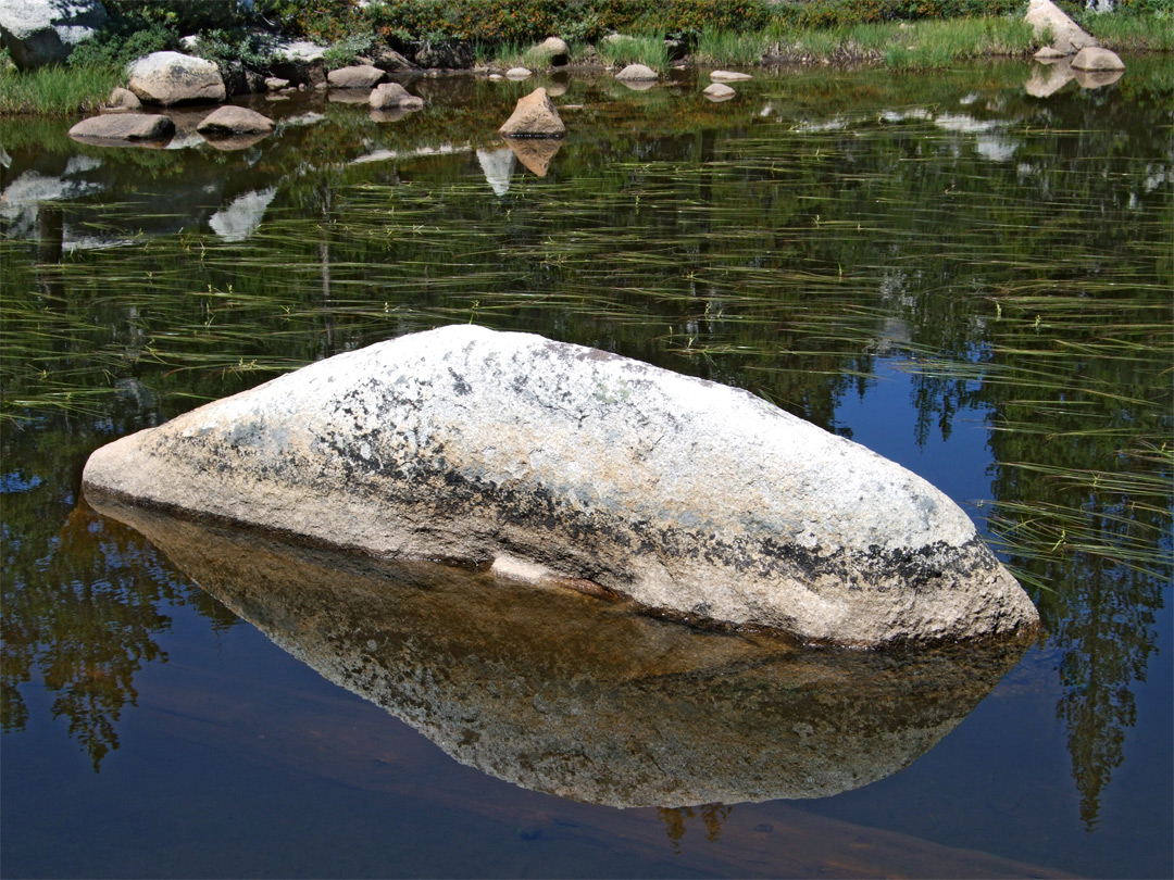 Boulder and reflection