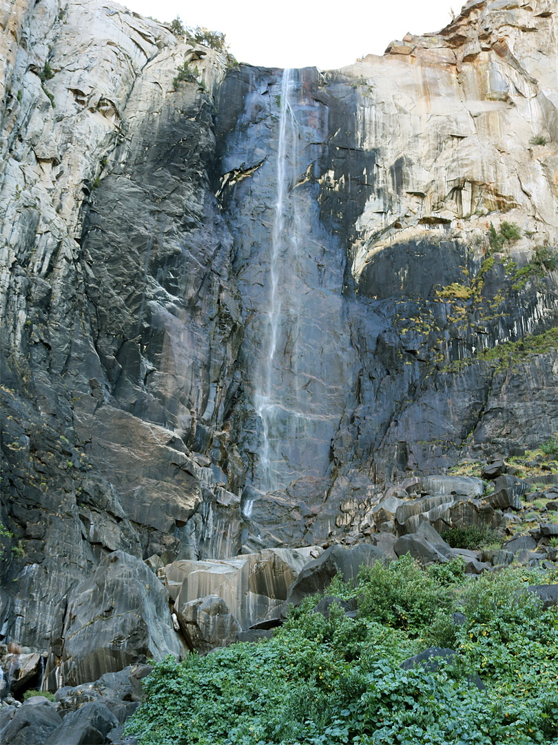 Bushes below the falls