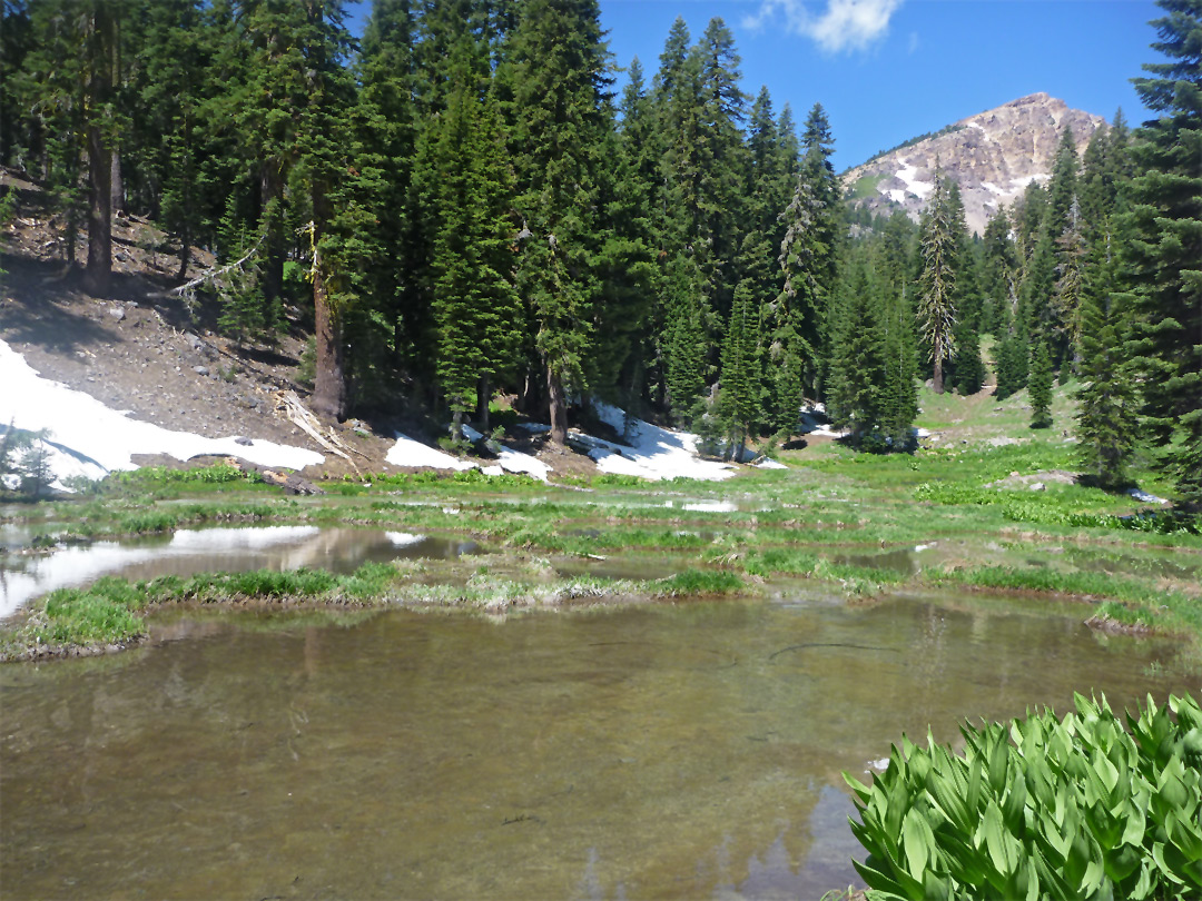 Pond along a creek