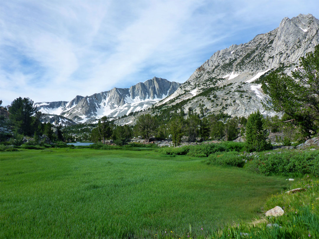 Meadow near Bull Lake