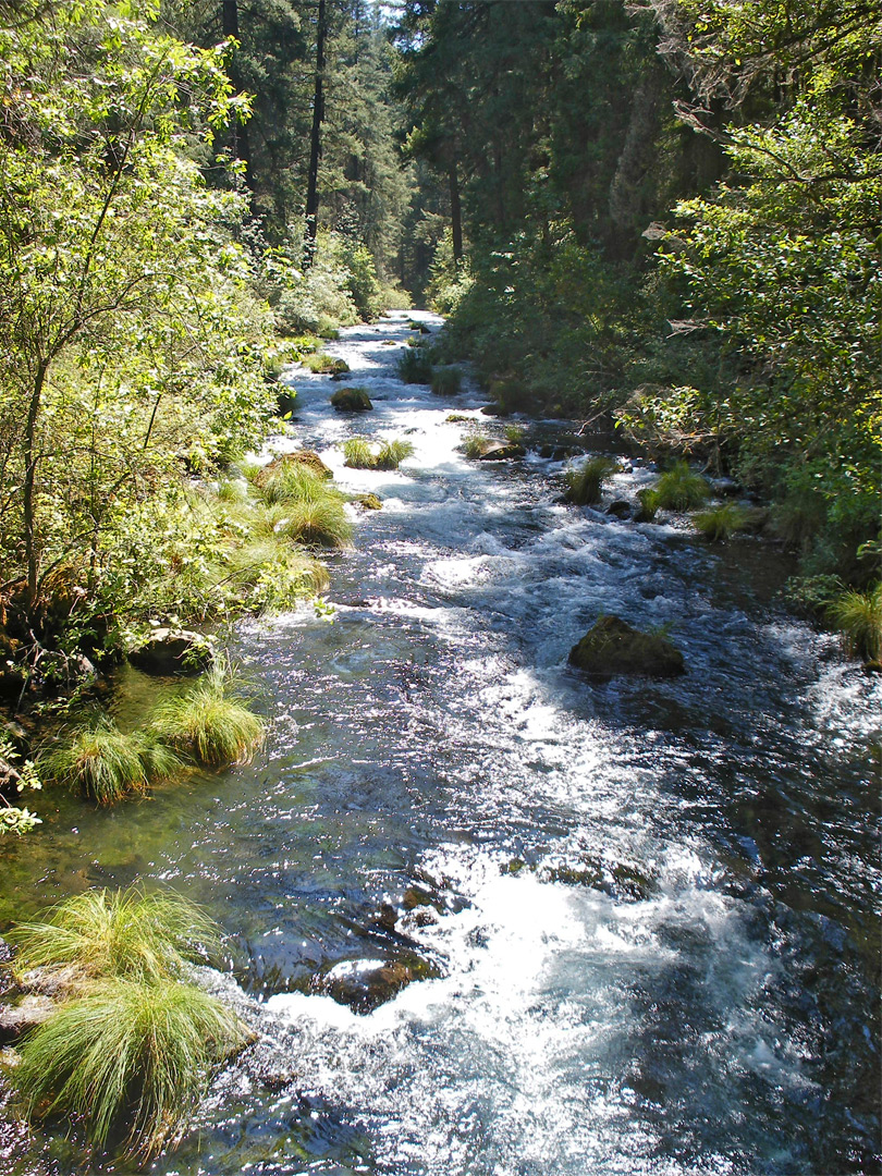 Burney Creek