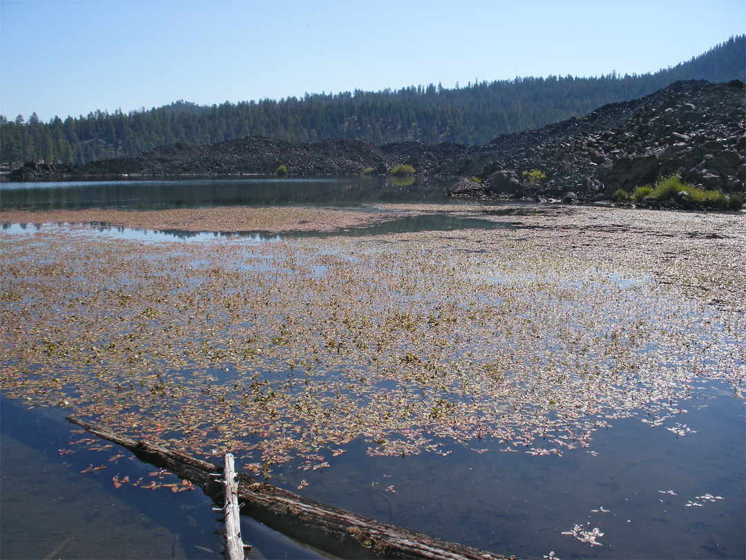 Butte Lake