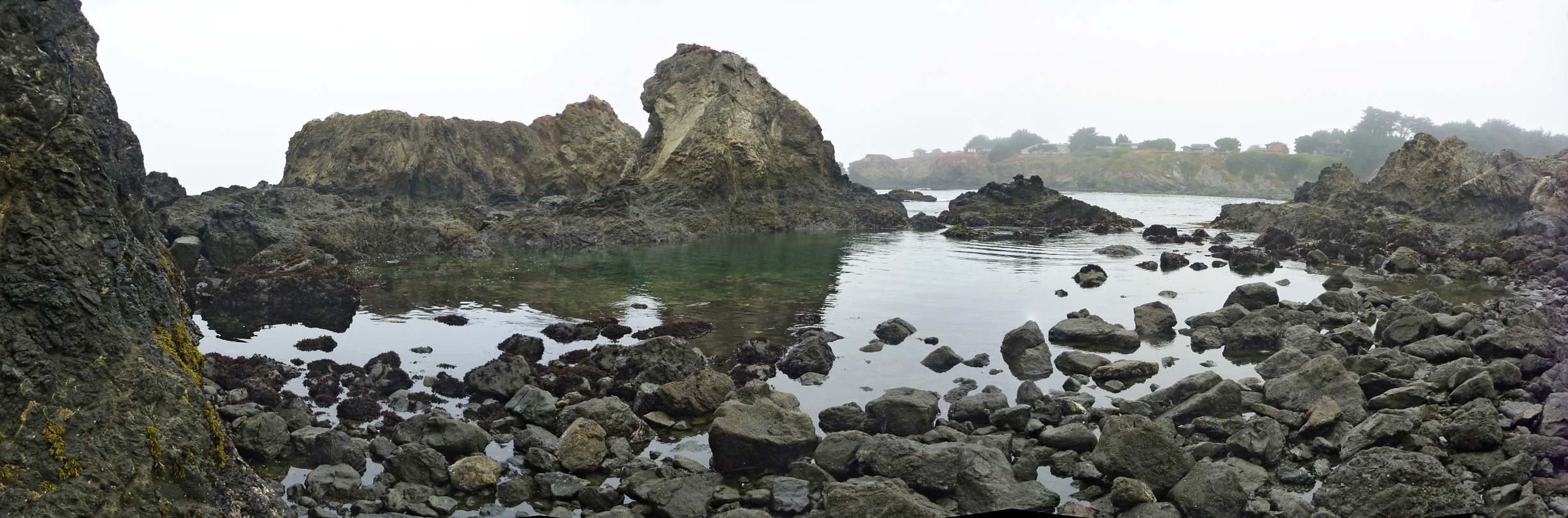 Rocks at low tide