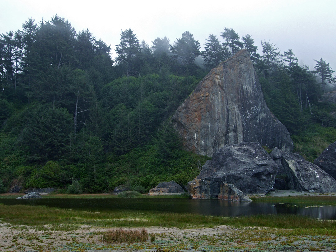 Carruthers Cove Trail, Prairie Creek Redwoods State Park