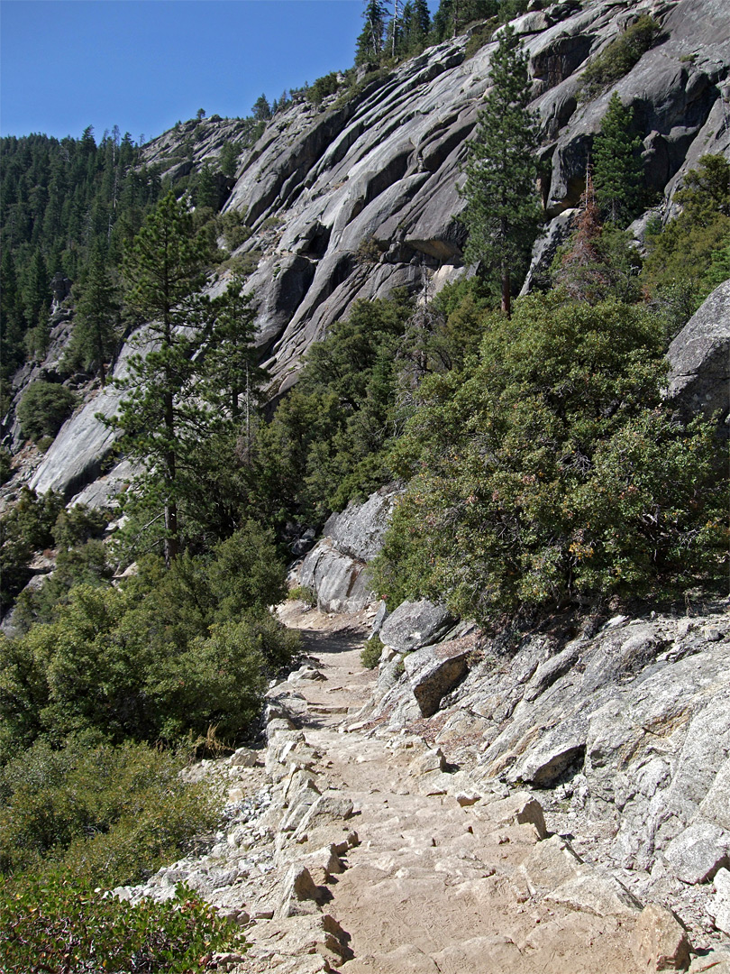 The trail, near the falls