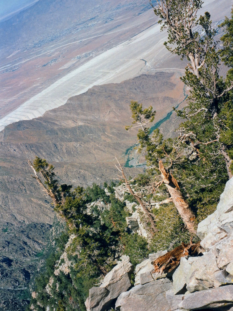 High above Chino Canyon