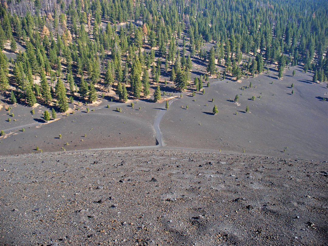 Path up Cinder Cone