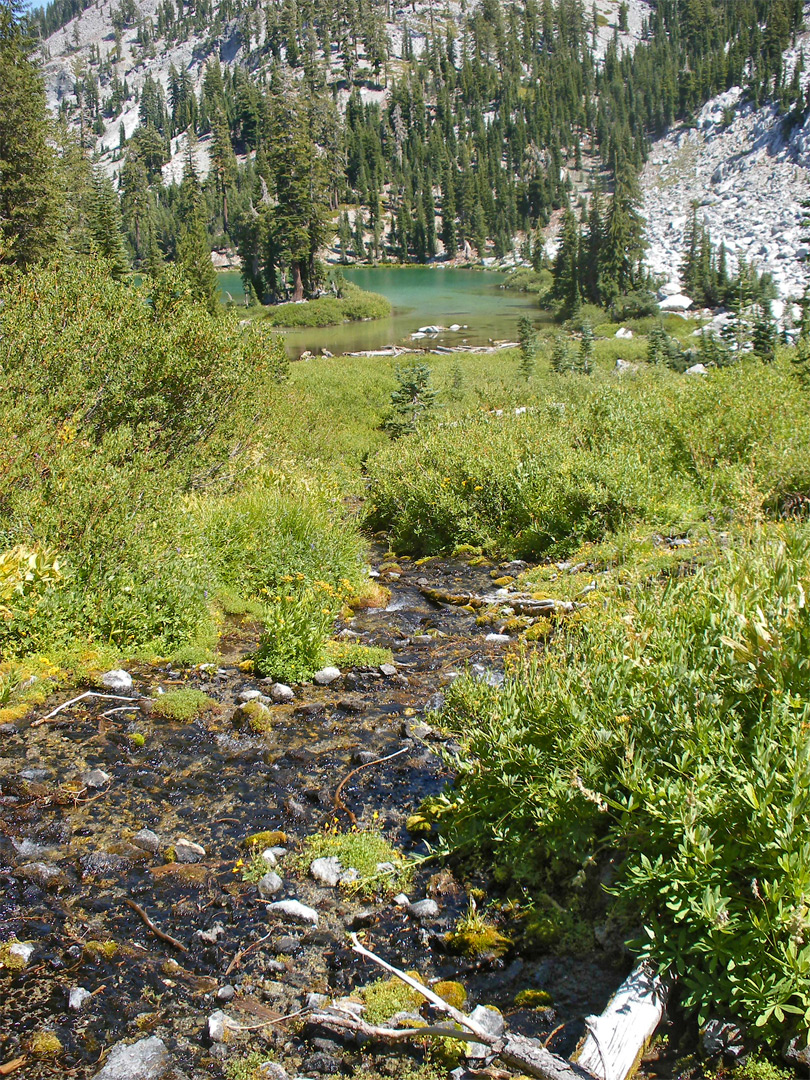 Stream above Cliff Lake