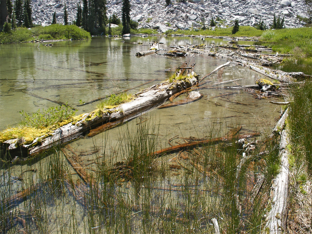 Edge of Cliff Lake