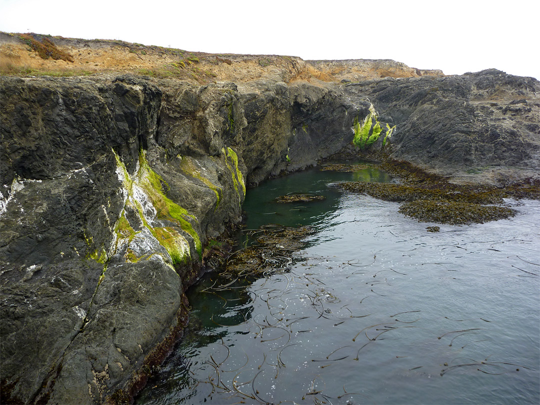 Moss on black cliffs