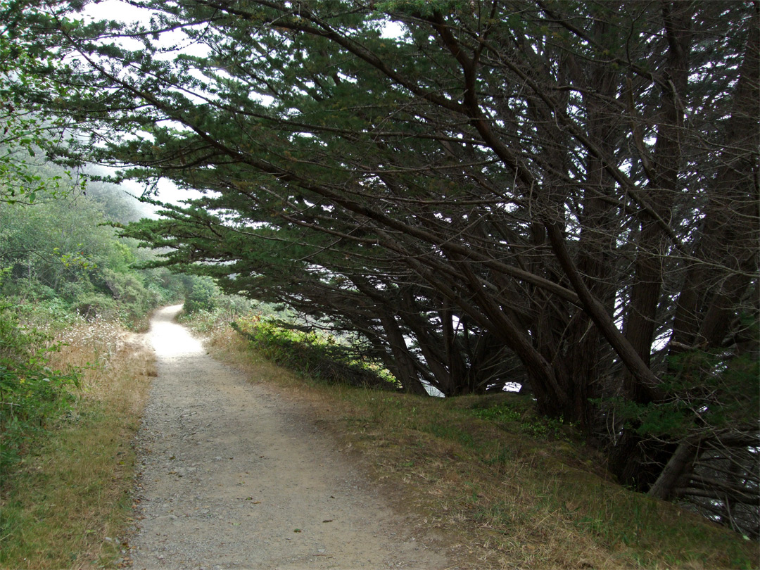 The Coastal Trail