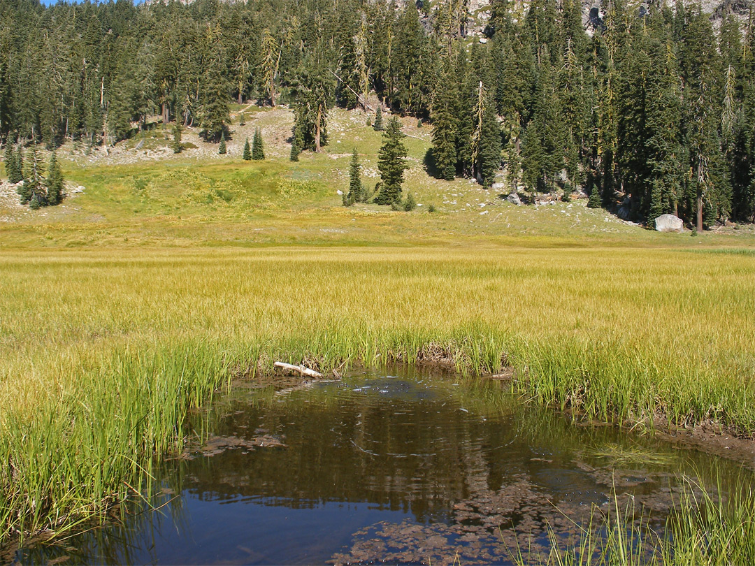 Cold Boiling Lake