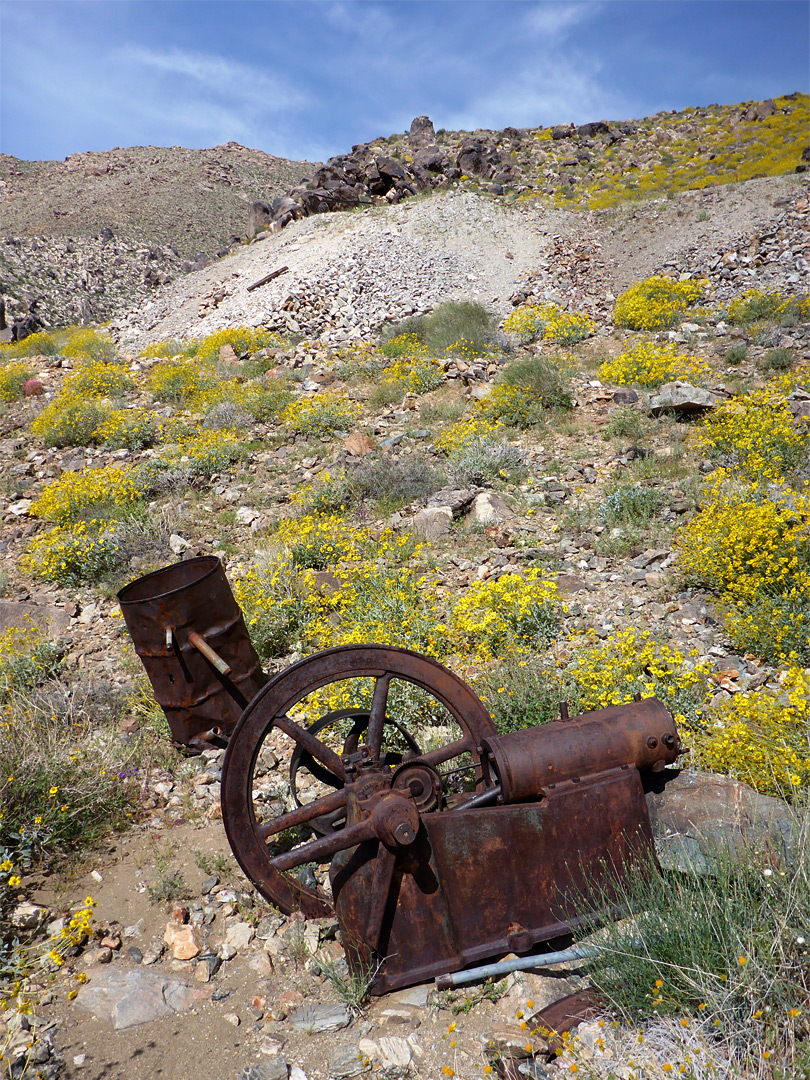 Engine and drum