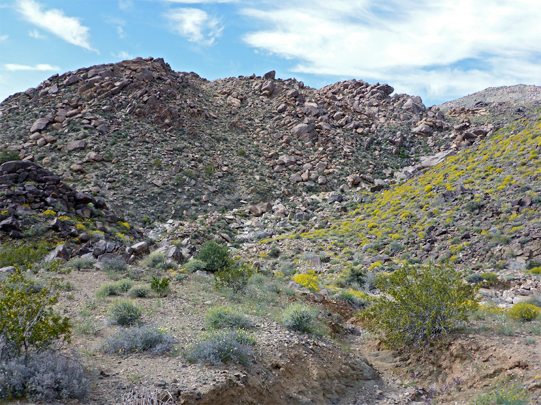 Boulder-covered hills