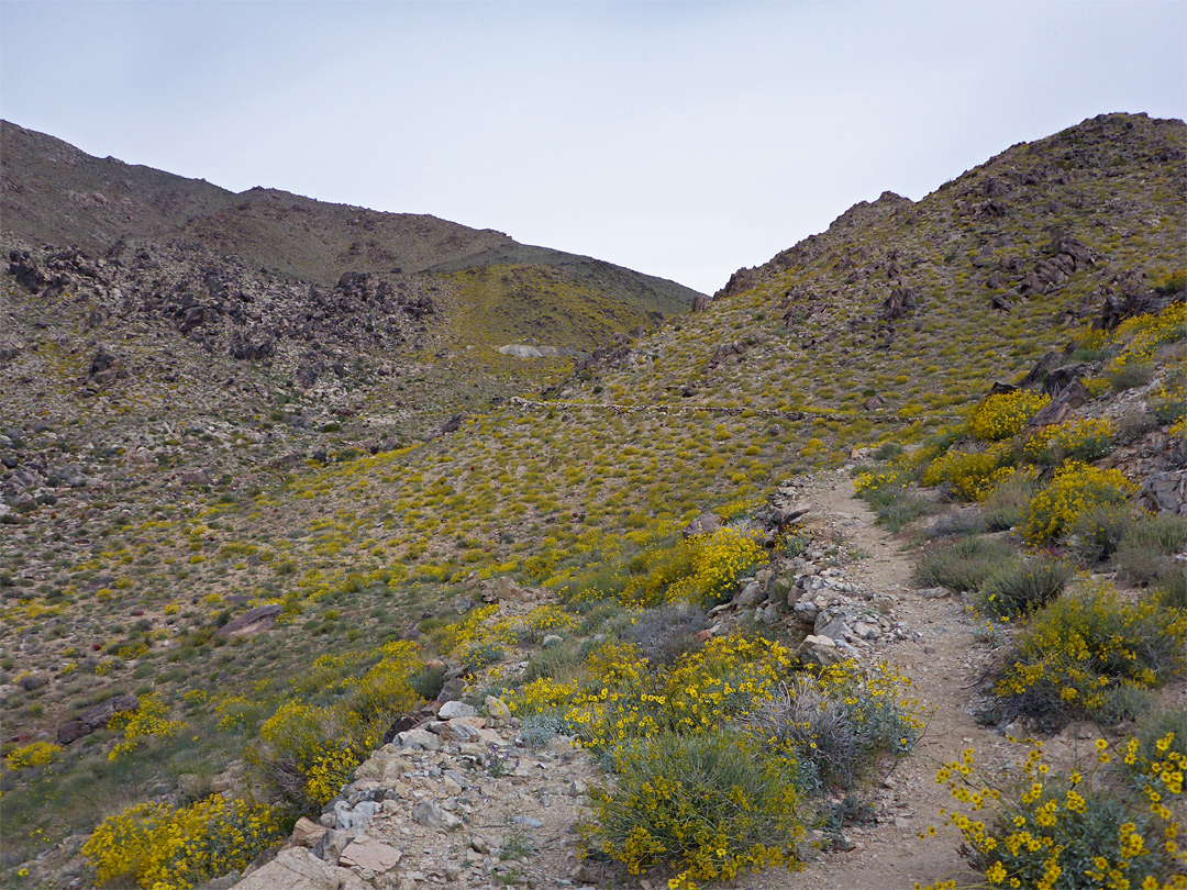 Track to the mine