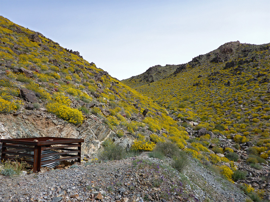 Upper end of the valley