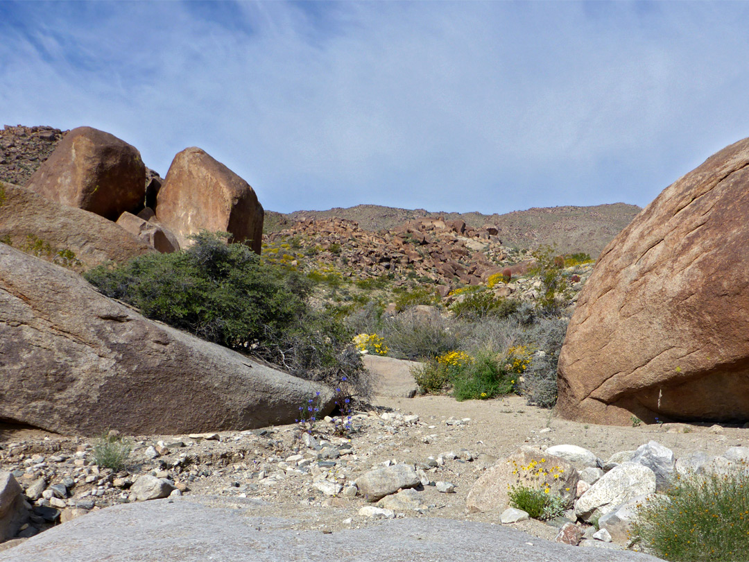 Stony drainage