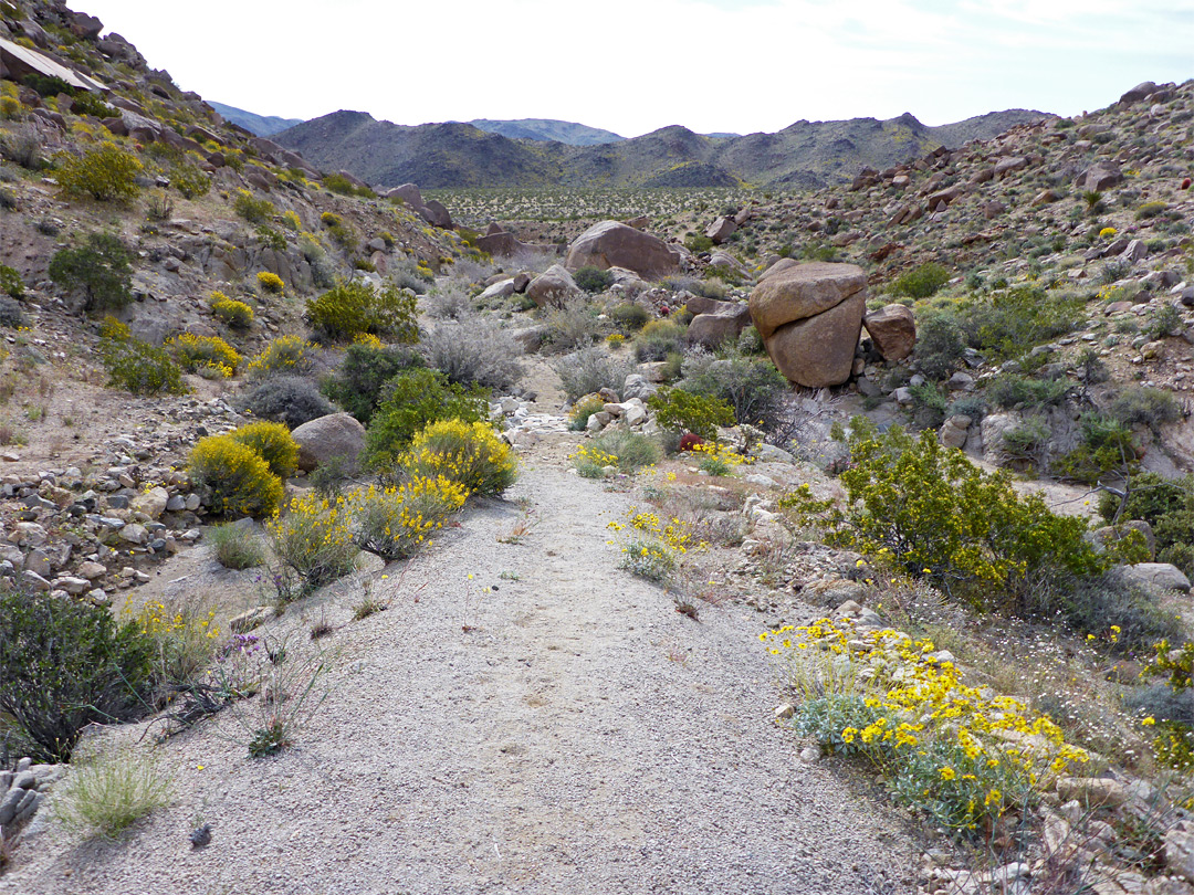 Path by the wash