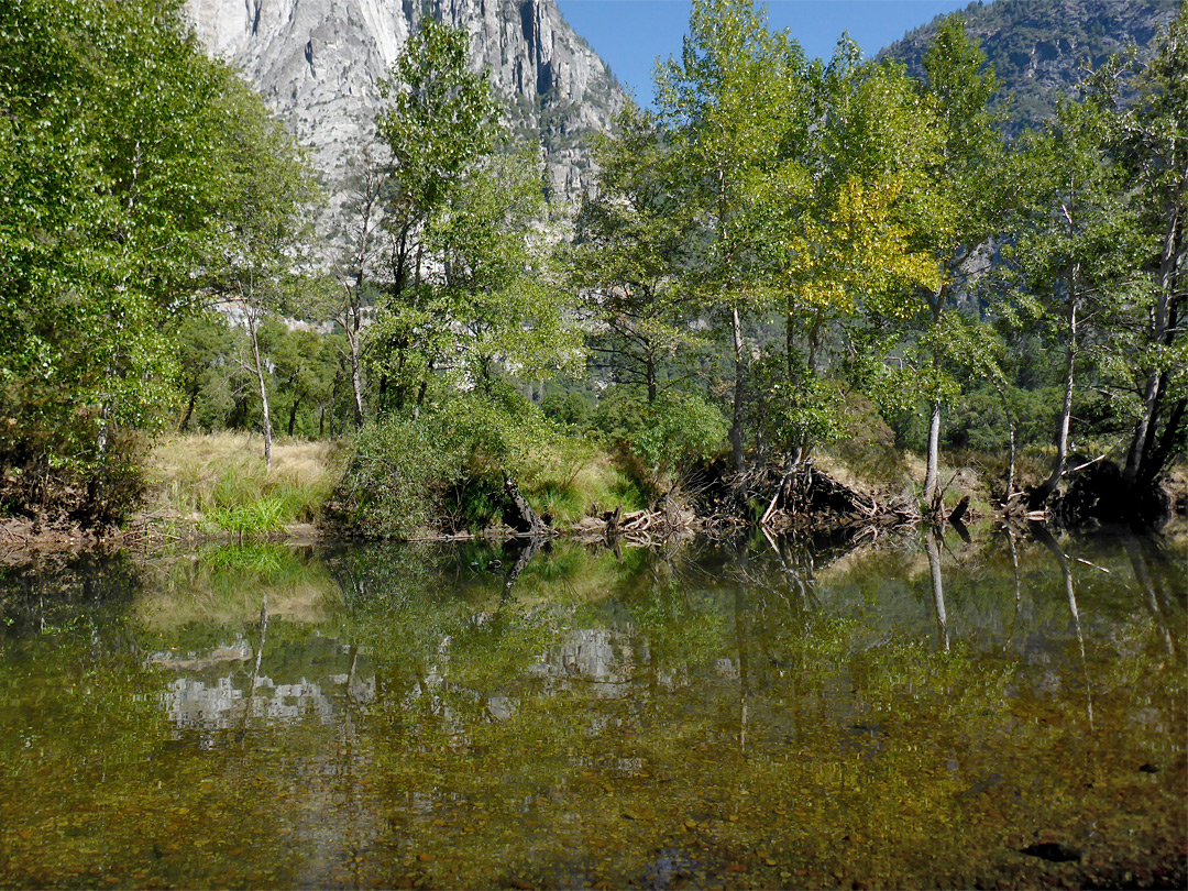 Reflections
