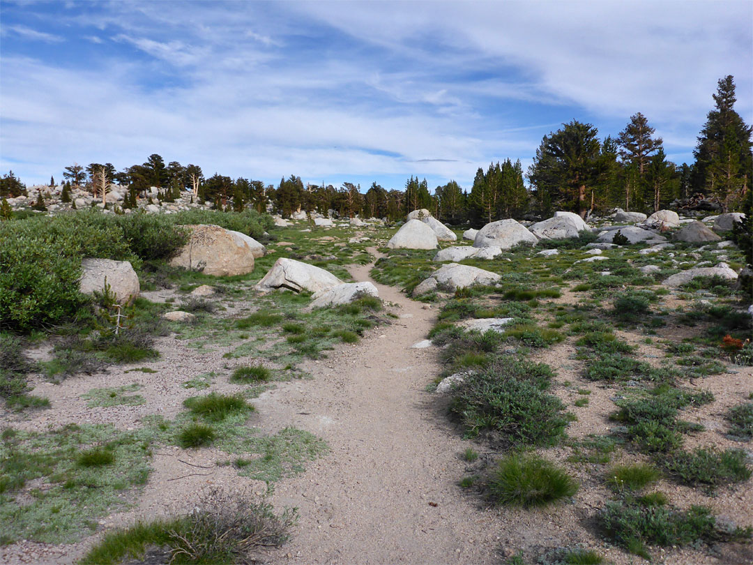 Boulder-lined path