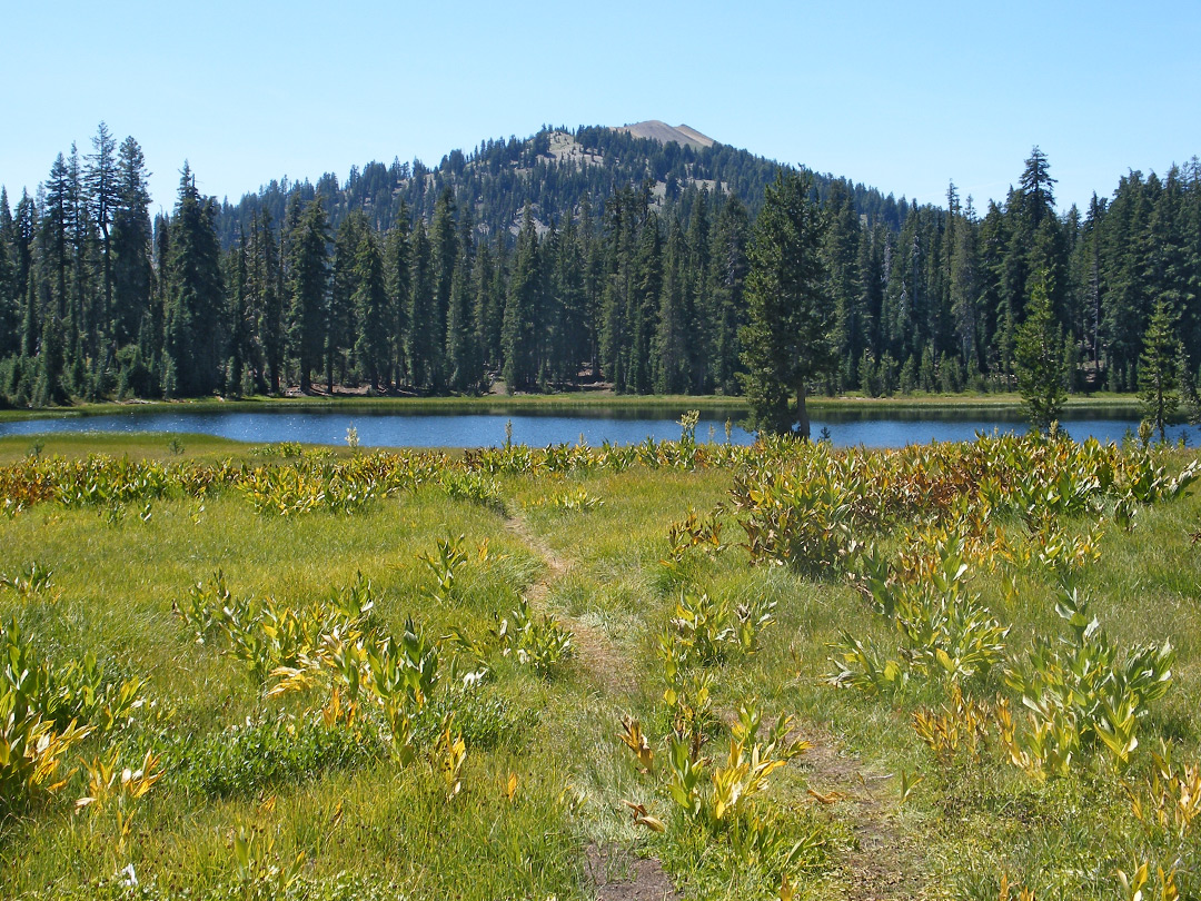 Path to Crumbaugh Lake