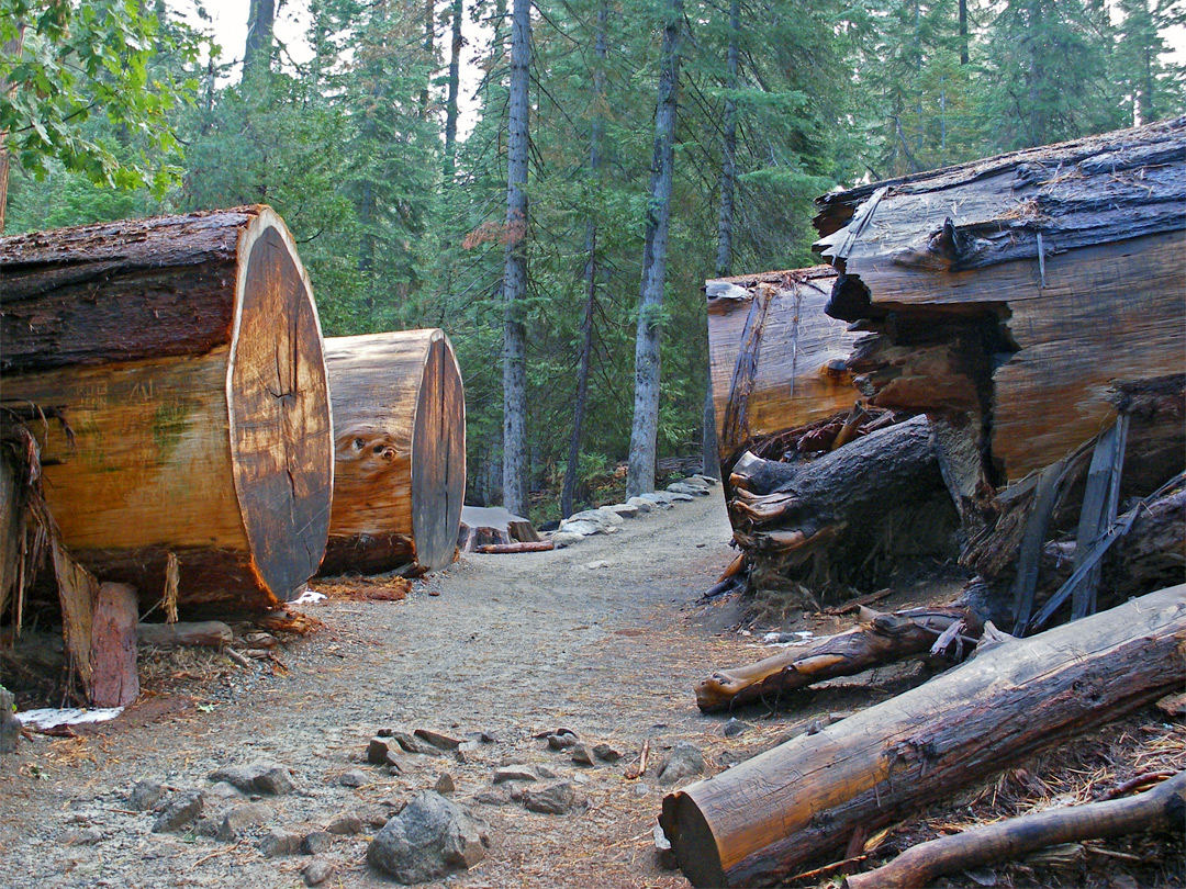 Lower Grove Trail