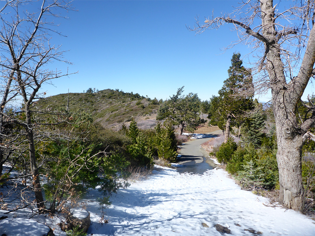 Road near the summit