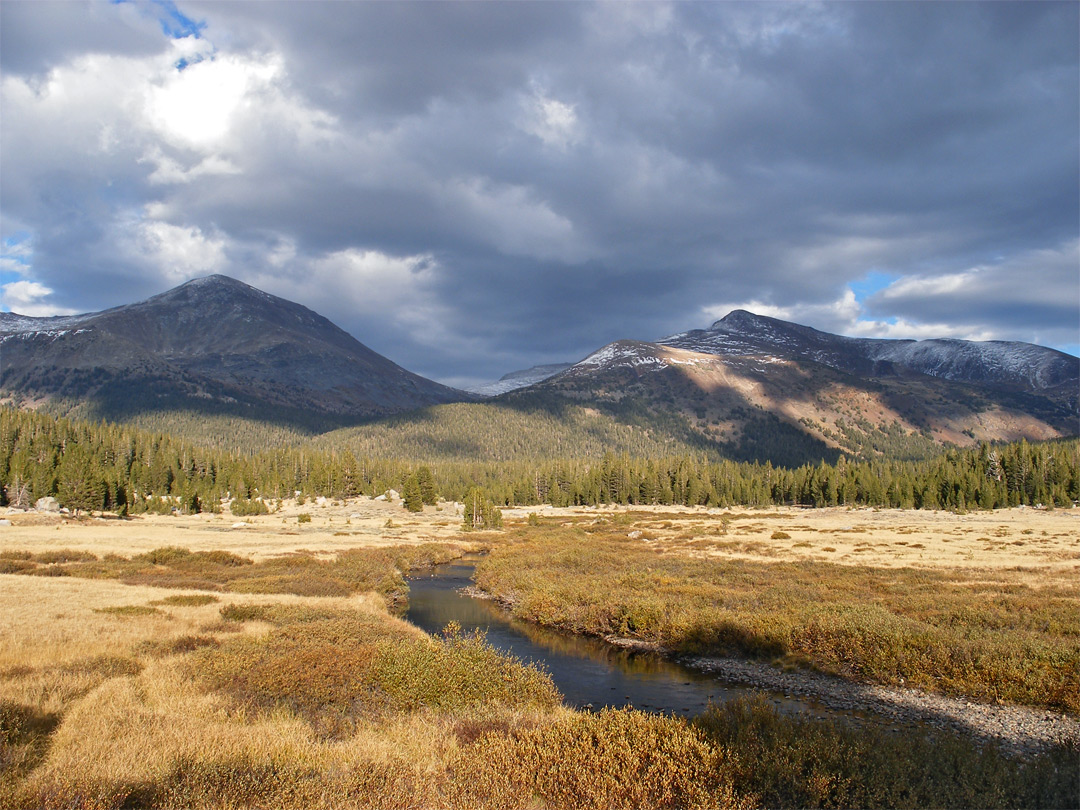 Dana Meadows and the Tuolumne River