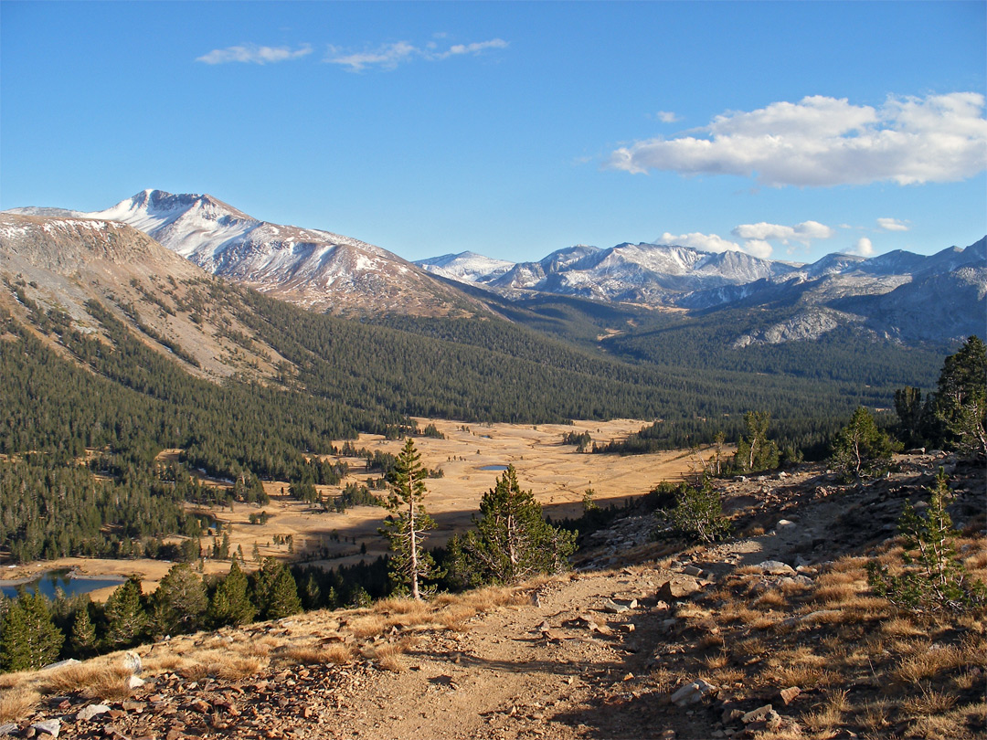 Dana Meadows and Mount Gibbs