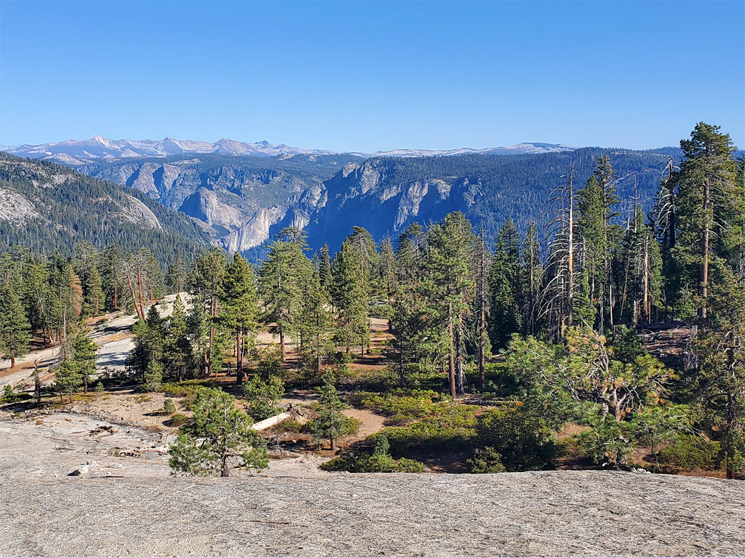 The view east
