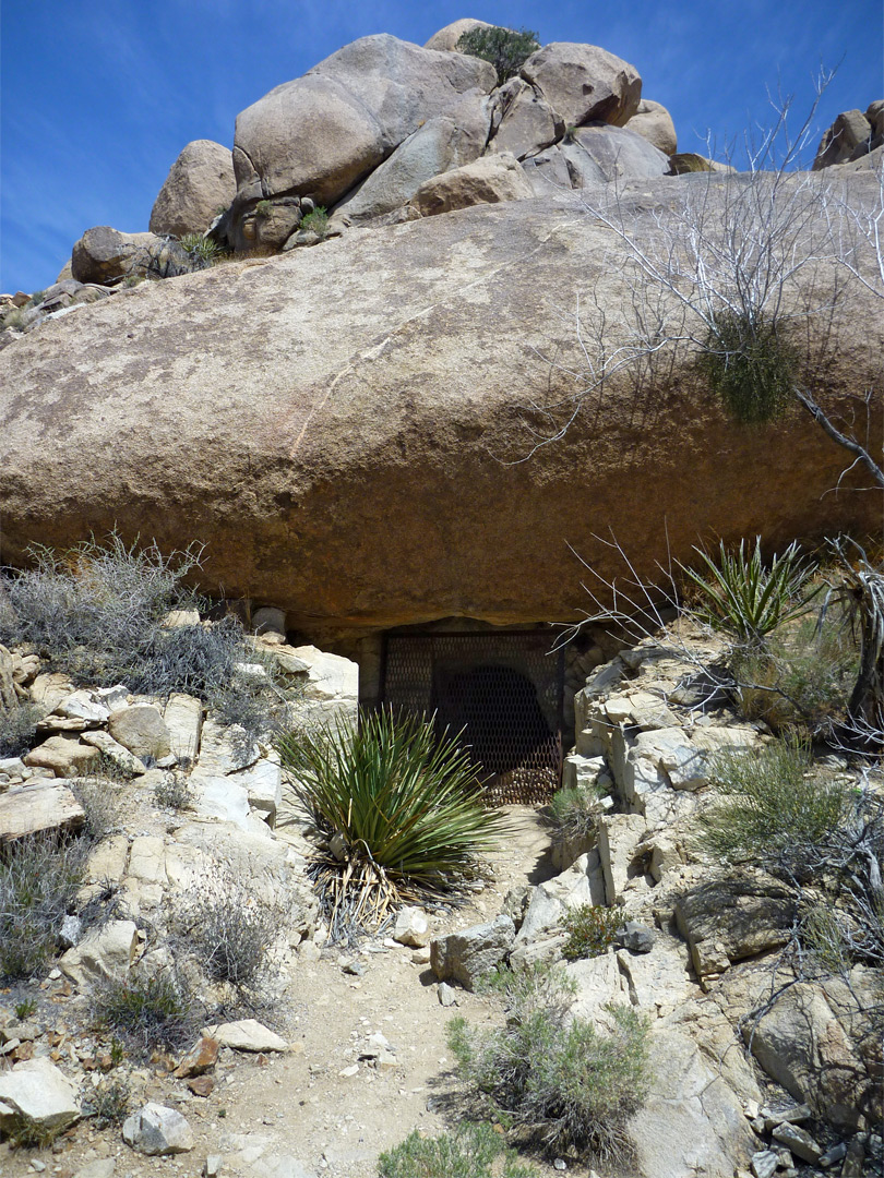 Tunnel entrance