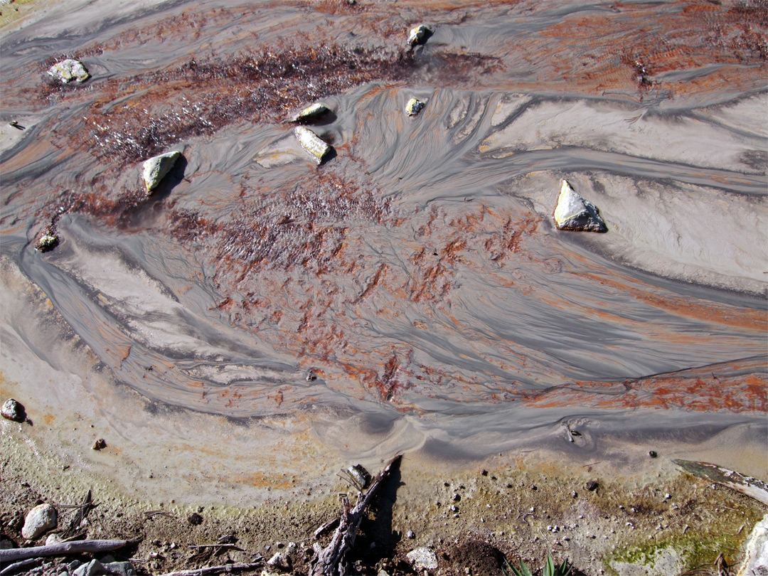 Red algae and grey earth