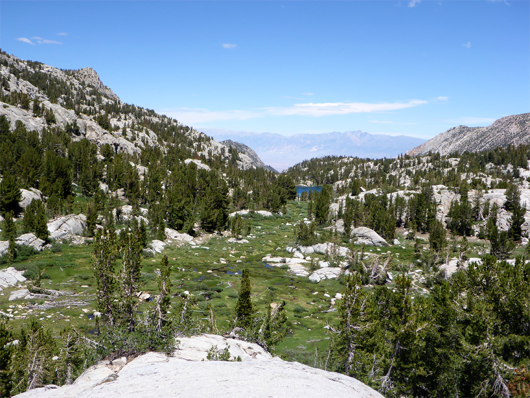 Meadows south of Dingleberry Lake